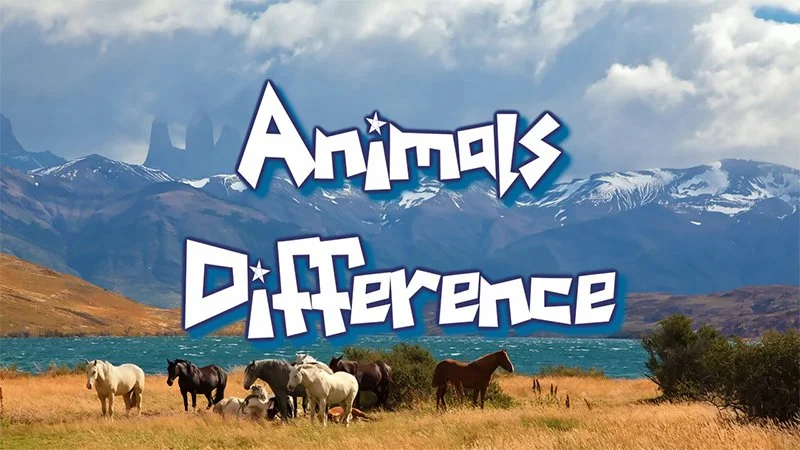 Animal Differences game