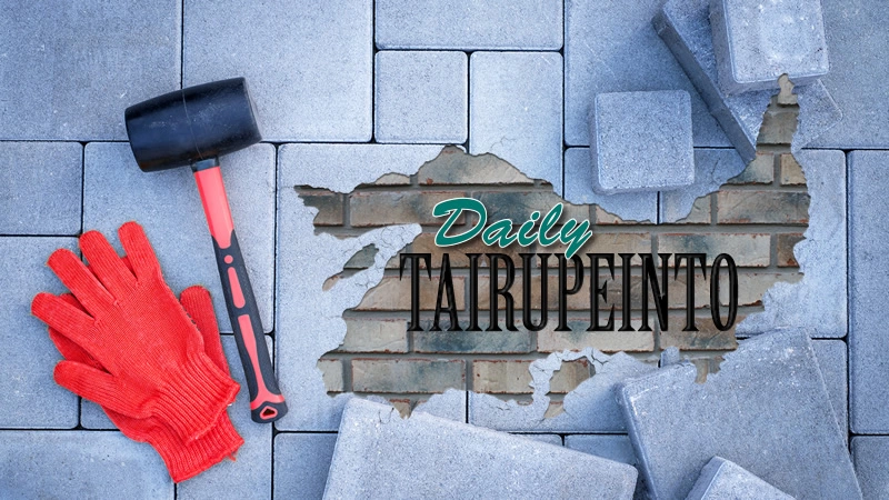 Daily Tairupeinto game