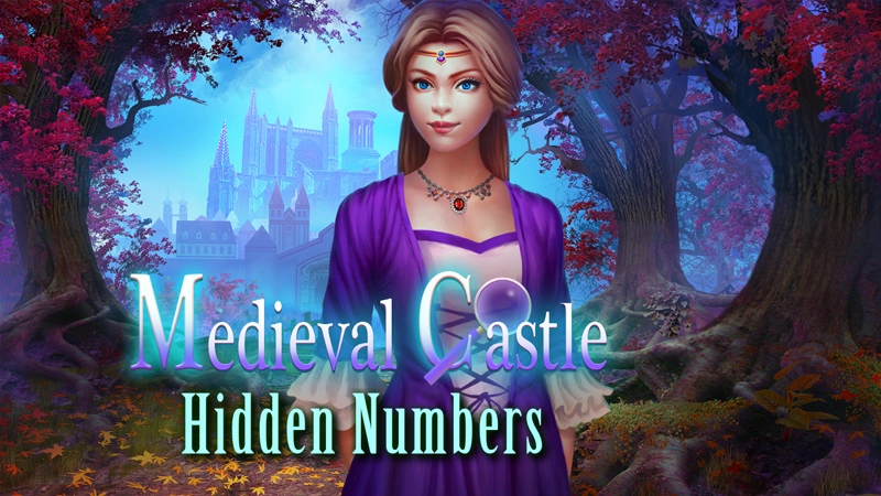 Medieval Castle Hidden Numbers game